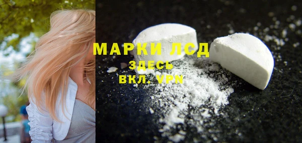 прущие грибы Верхнеуральск