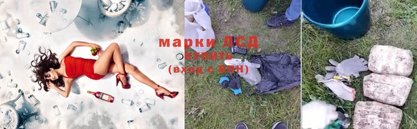 прущие грибы Верхнеуральск