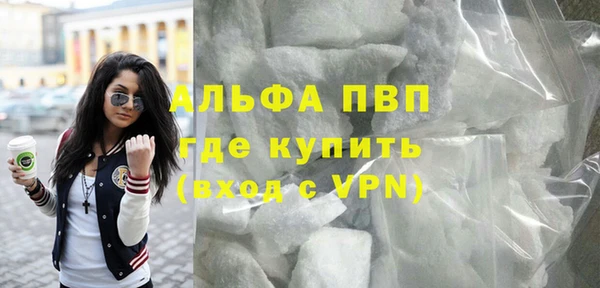 прущие грибы Верхнеуральск