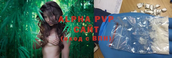 прущие грибы Верхнеуральск